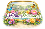 Holmers Blomsterhandel